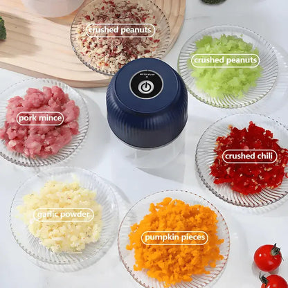 Mini Garlic Chopper — Chops meat, nuts & spices effortlessly