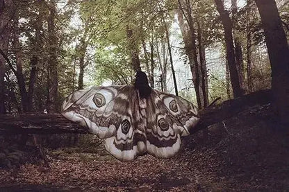 Moth Wing Cape Gray Nature-Inspired Costume Shawl for Festivals Photoshoots Halloween Performances Dance Parties Cosplay Events | Thomler