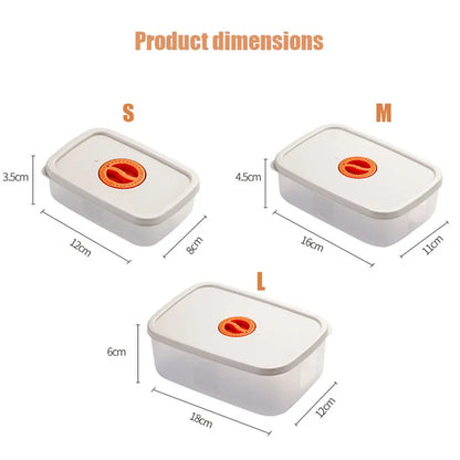 Bento food storage container - FreshKeeper